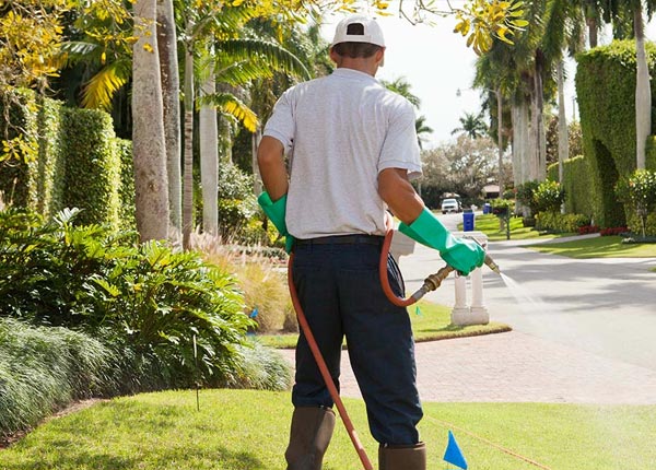 About Neola IA Pest Control